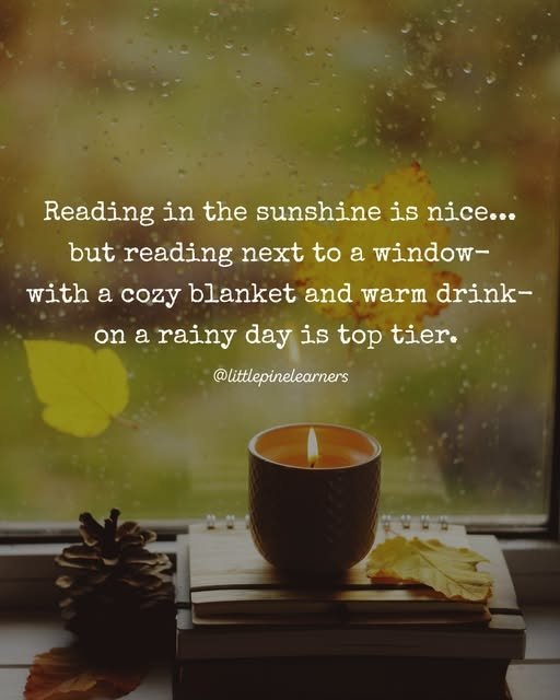 Reading in the sunshine is nice… but reading next to a window — with a cozy blanket and warm drink — on a rainy day is top tier.